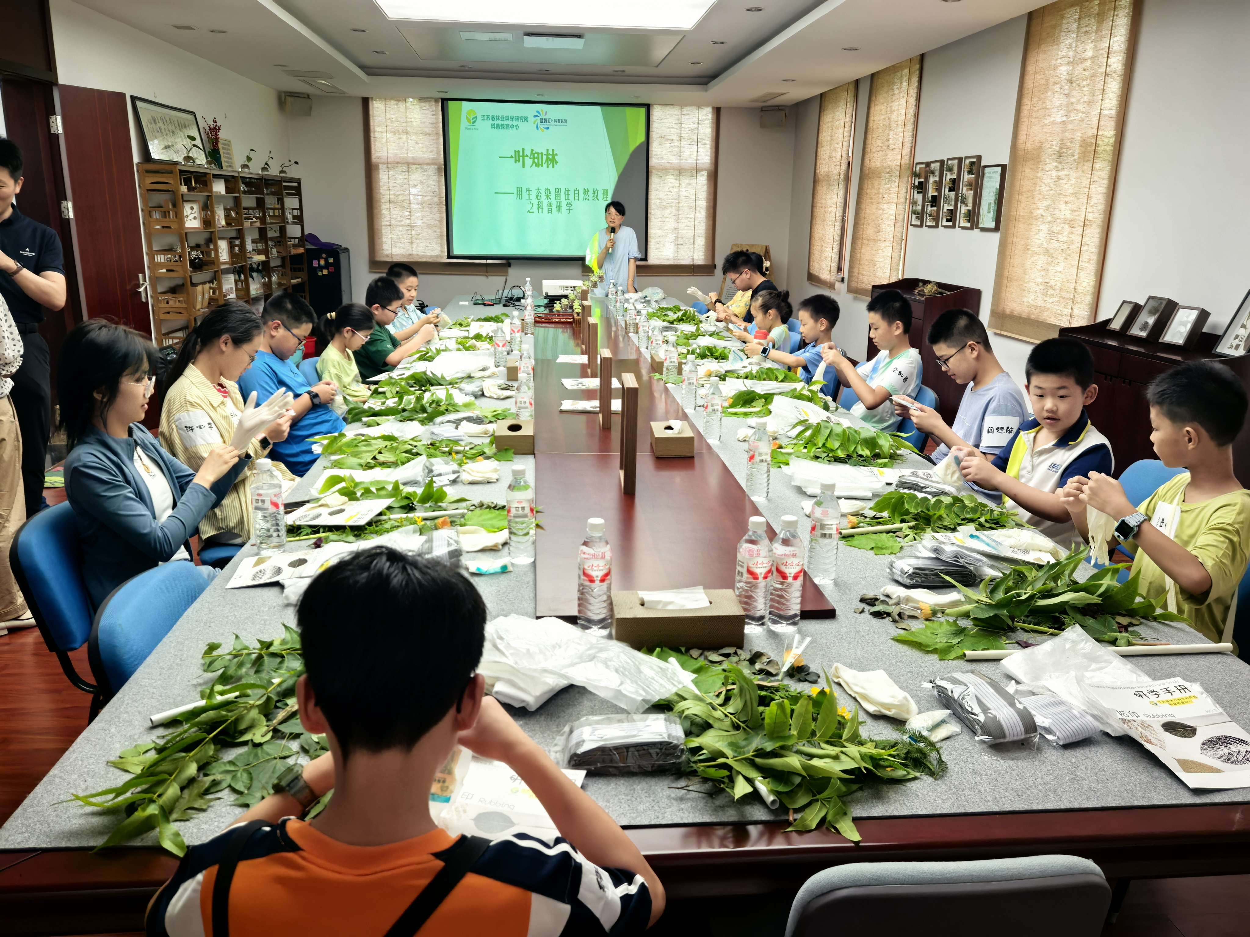 688075b81569c.jpg 688075b81569c.jpg