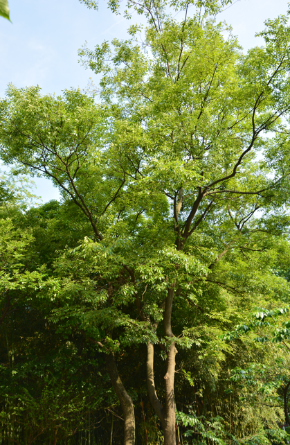 QQ_1786237843610.png