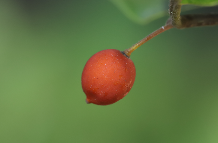 QQ_1786237990659.png