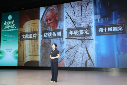 6a86a2948c495.png image.png